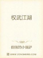 权武江湖
