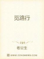 觅路行